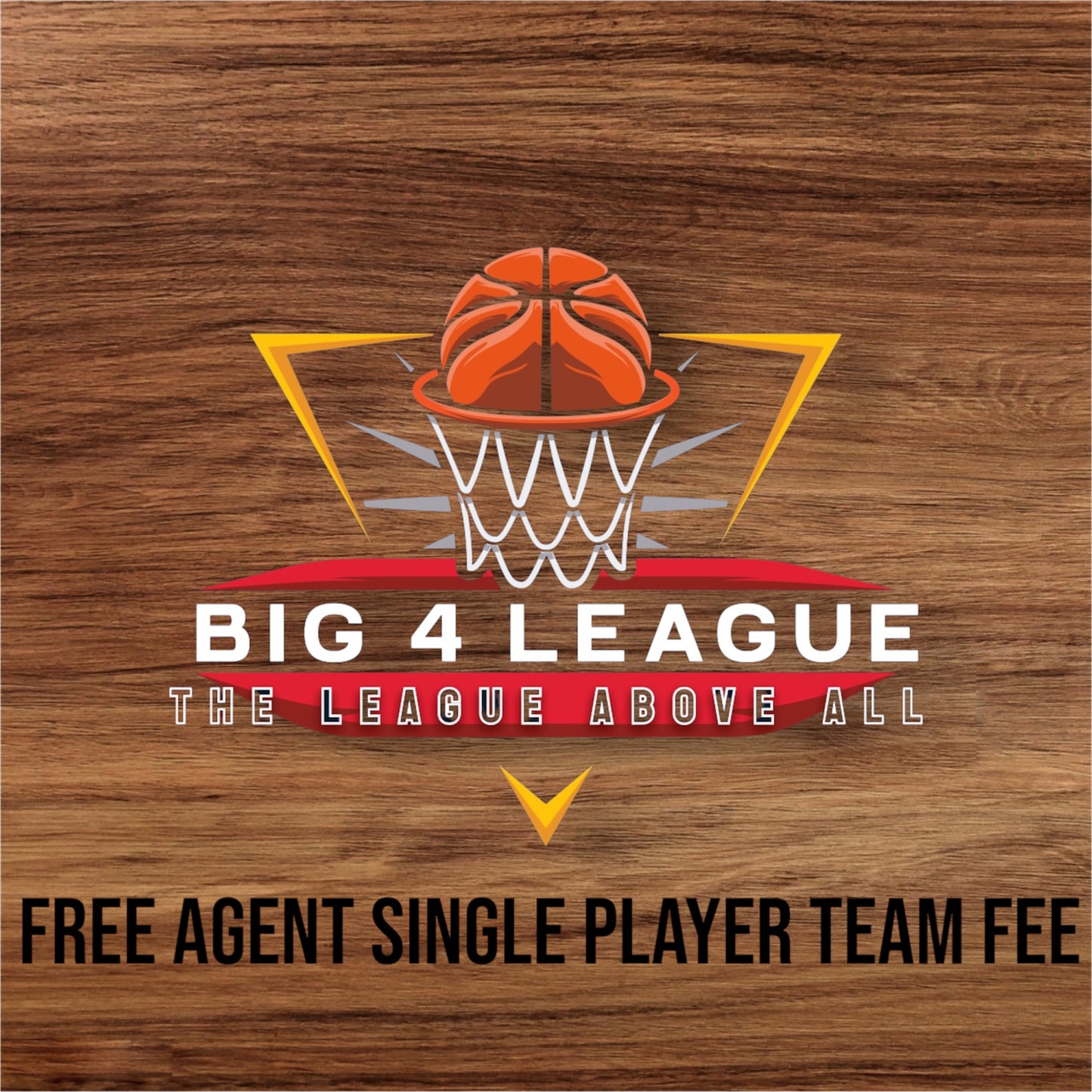 FREE AGENT single player (1ST SEASON)